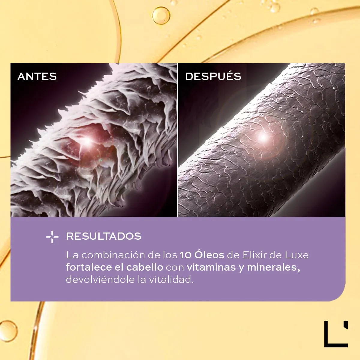Aceite Ligne Experte Elixir De Luxe para el Cabello L'Bel 90ml